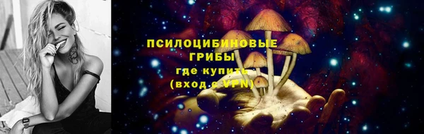 соль курить ск Богданович