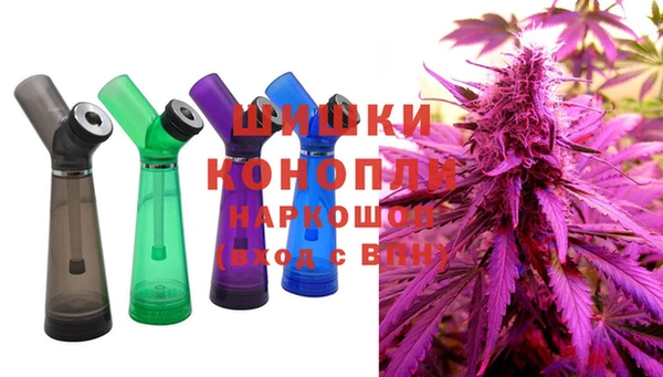 mdpv Богородск
