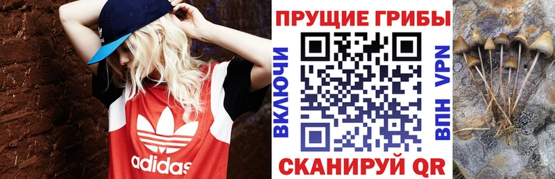 Галлюциногенные грибы прущие грибы  наркота  Реж 